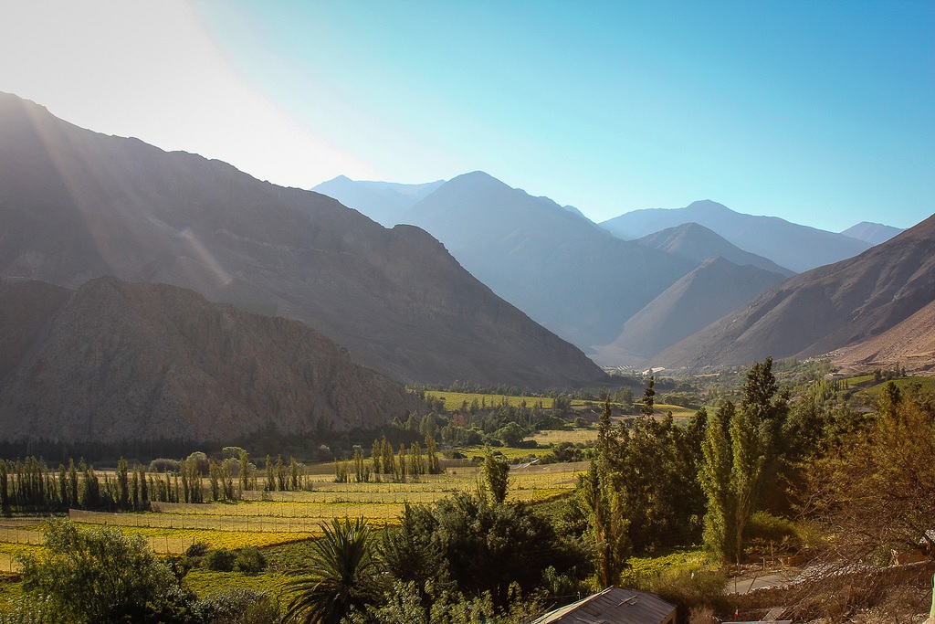 pisco-elqui-chile